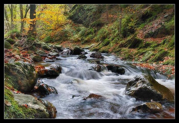 Naštěstí je už jaro...