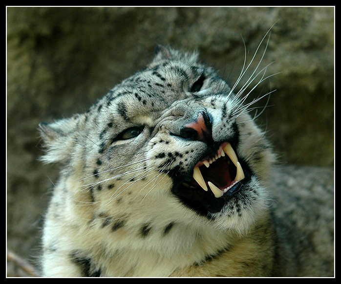 "navštěvuji pravidelně zubaře"