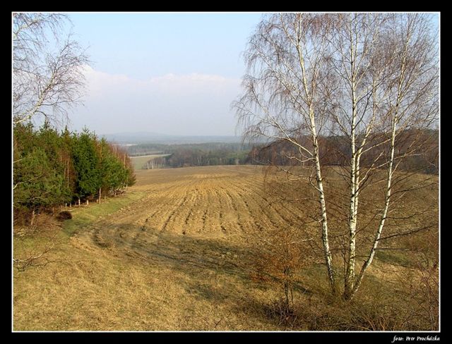 krajina v podbezdězí 2