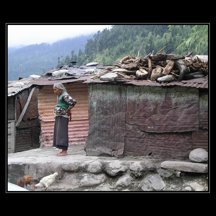 vlnitý plech, nejlepší přítel člověka.....