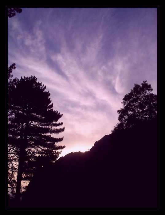 purple sky.....