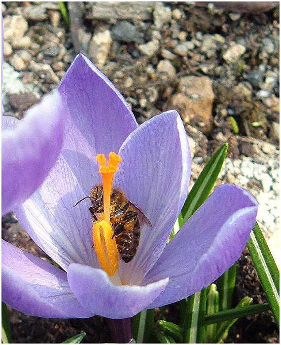 Jarní probouzení k životu