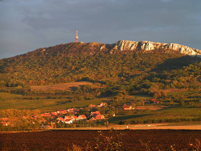 Pálava