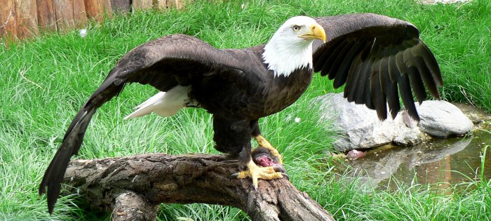 prazska zoo