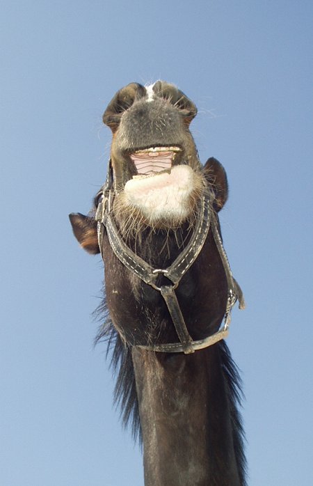 E.T. volá domů :o)