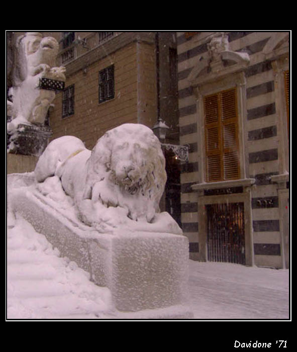 s.lorenzo cathedral in Genoa