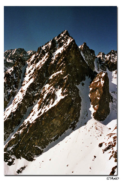 jedna tatonka
