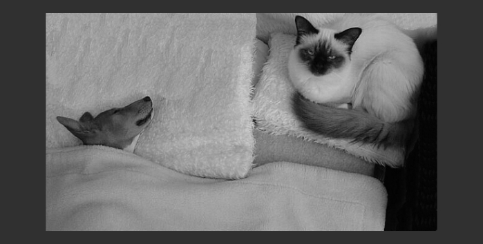 Čekání na Karkulku