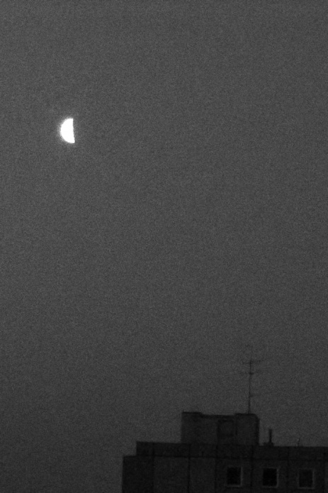 Jižák Moonlight Serenade