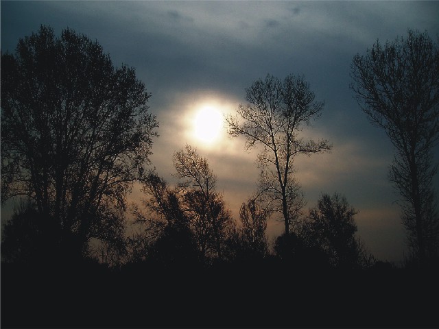 šeptem