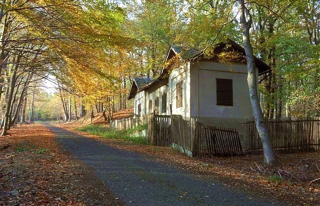 Fóglovna