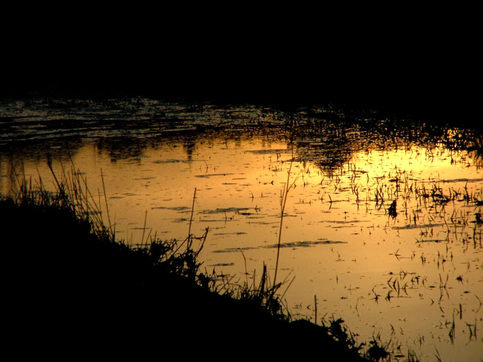 už zase skáču přes kaluže...