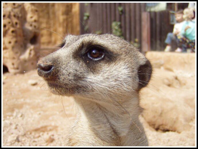 \"Na vlastní bulvy\"