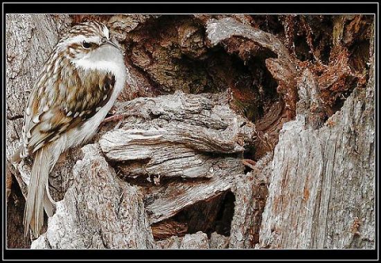 Ještě kousek a jsem doma