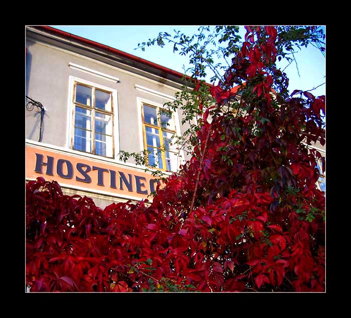 HOSTINEC u Housky