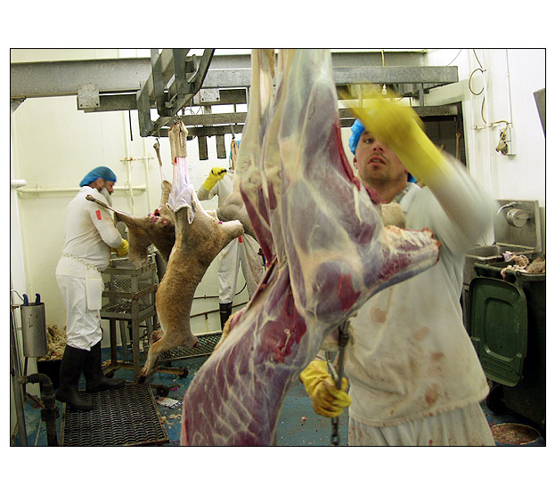 <b>Kangaroo Industry</b>