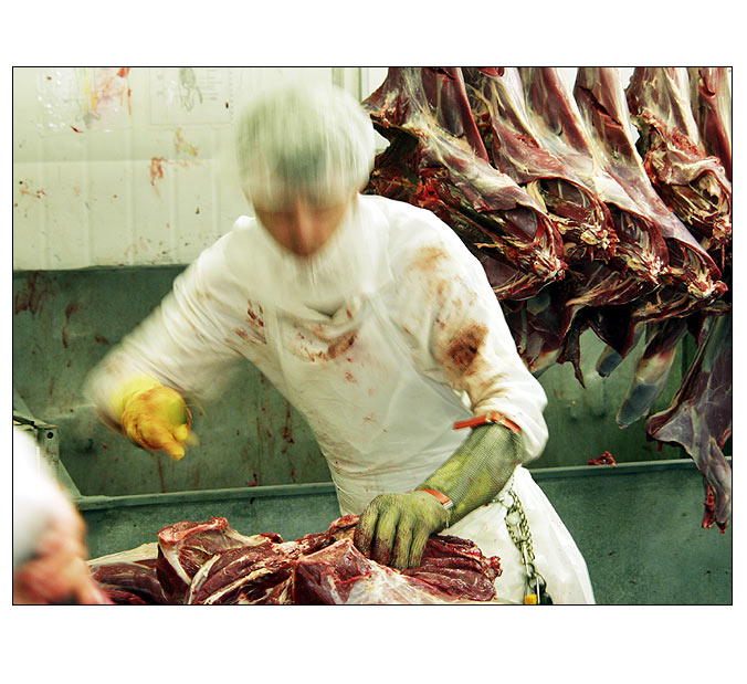 <b>Kangaroo Industry #2</b>