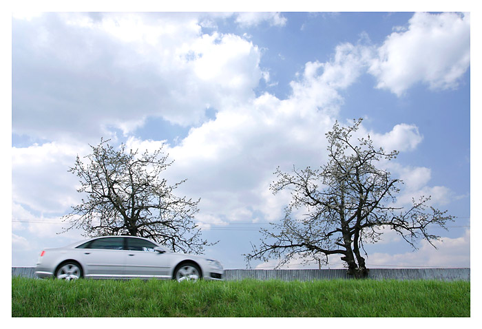 Audi in the Country