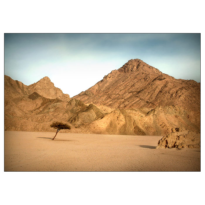 <b>:.ZE ZEMĚ FARAONŮ.: