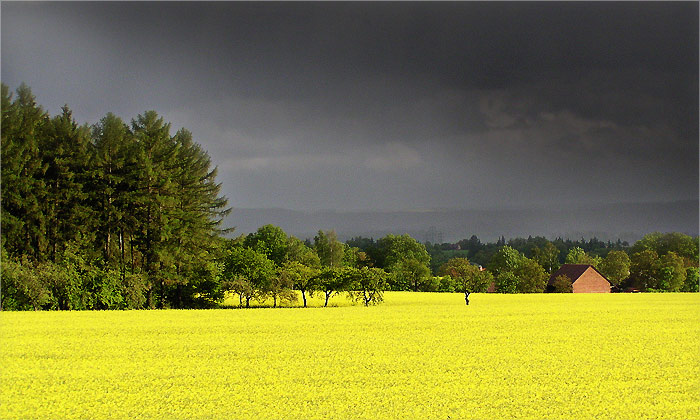 The storm is coming