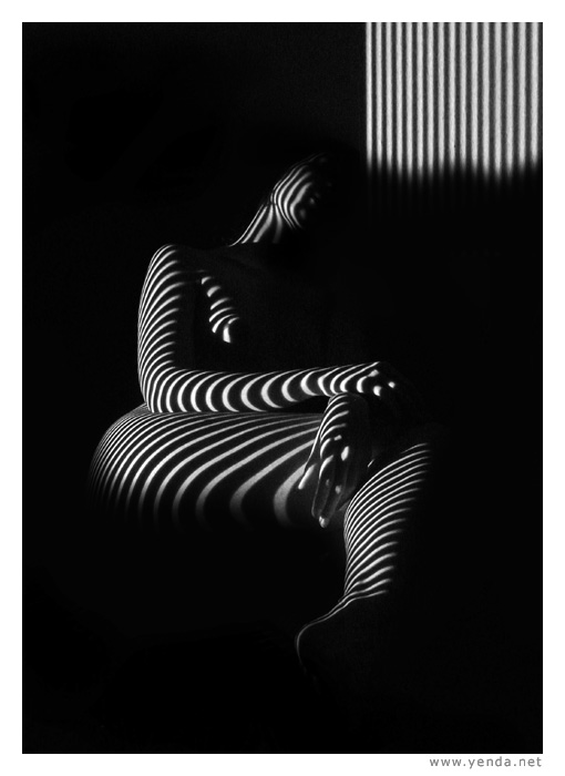 prostě proužky (pp)