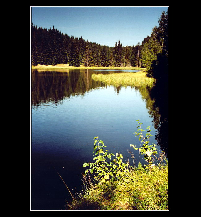 ..Šumavské pohlednice .. Žďárské jezírko