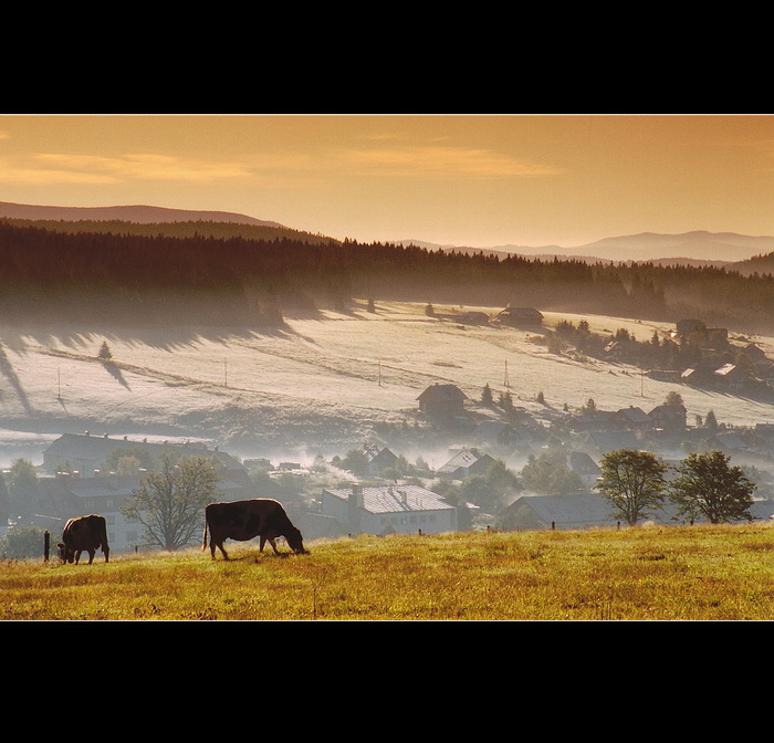 ..Šumavské pohlednice ..  Ráno nad Kvildou III.