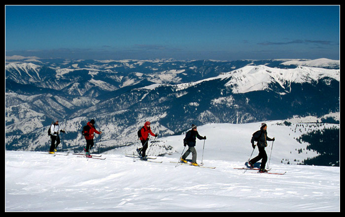 V řadě za sebou tři čuníci jdou...