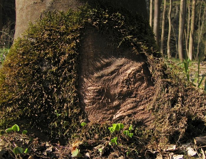 Nerudný duch Měsíčního údolí