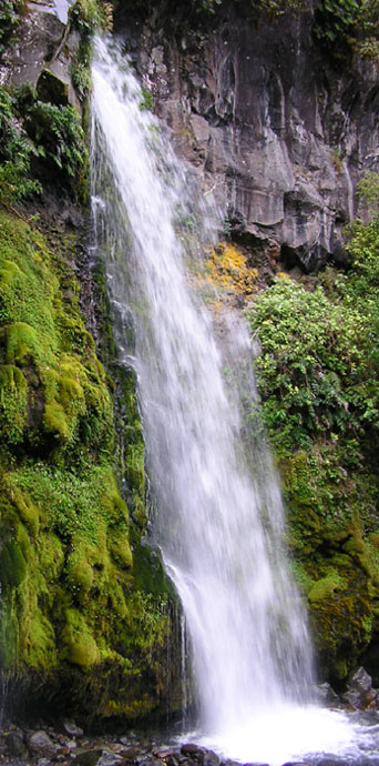 Dawson falls