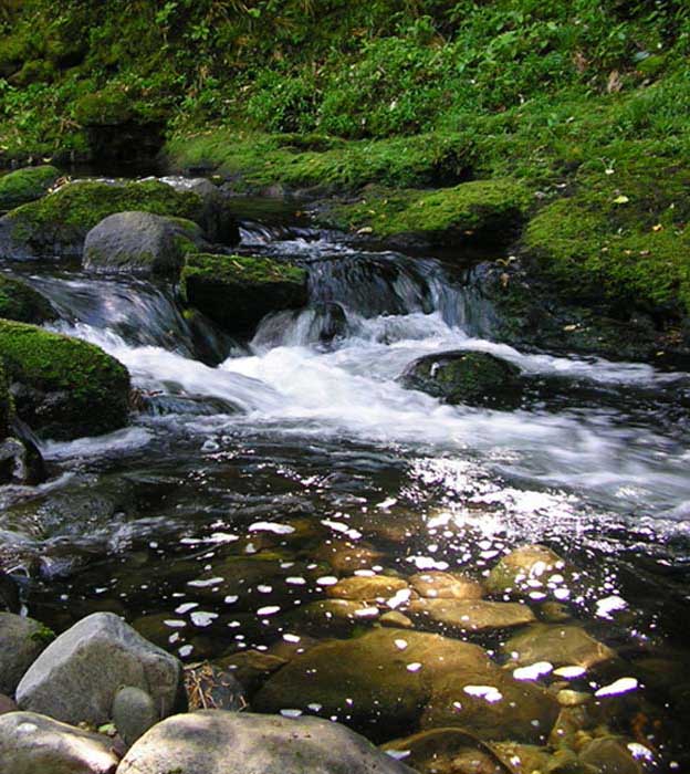 Bystřina