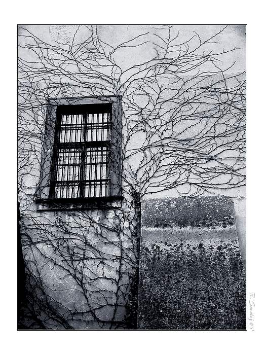 </b>okno ke klidu</b>(BW verze)