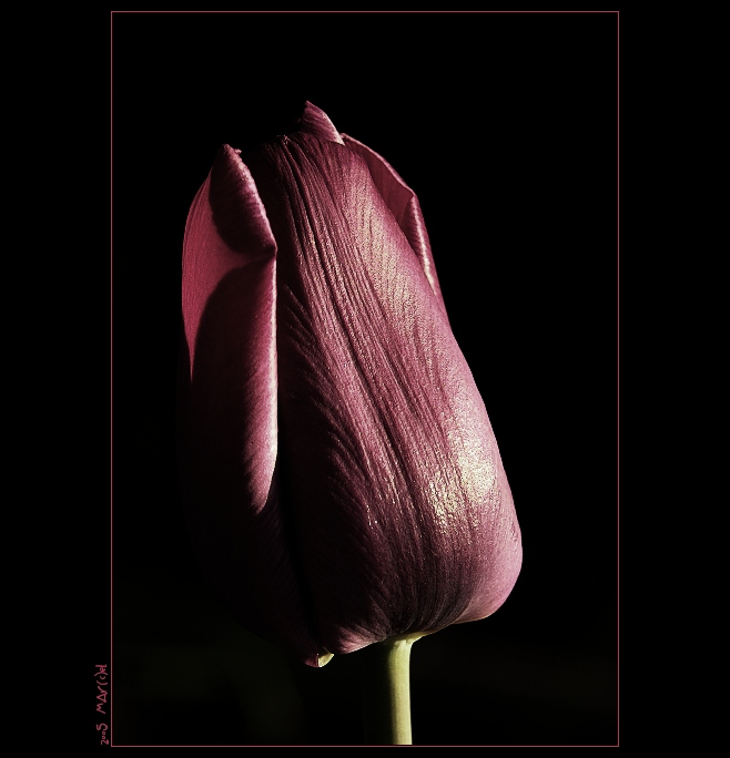 ..:: tuli TULI tilipÁnek ::..