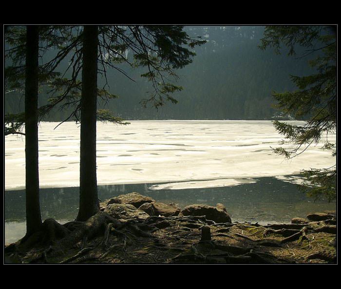 U JEZERA - Černé jezero, Šumava