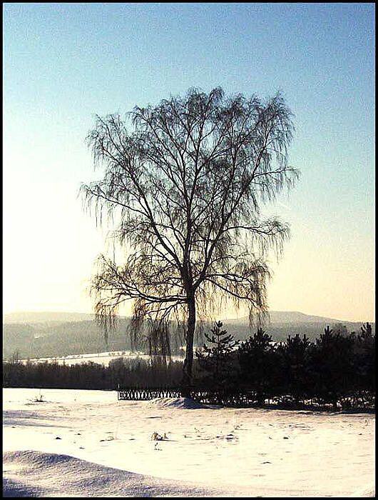strom