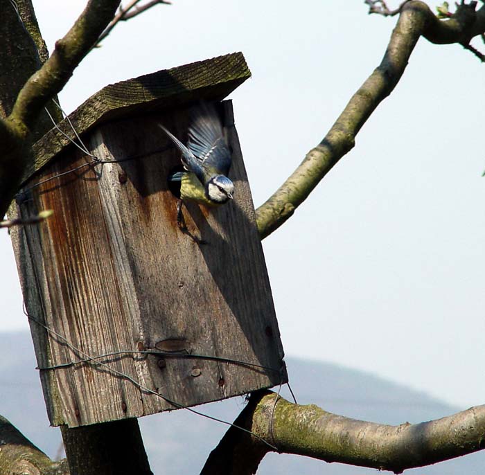 .............frrrrrr..............