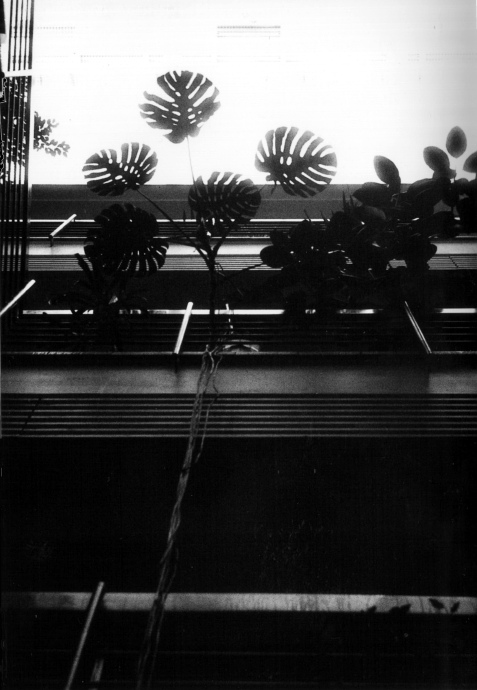 Uni: Werkstoffwissenschaften