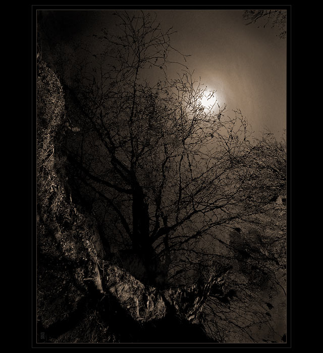 <b>...CESTA ZA DUHOU...<hR></b>(...dark side...)