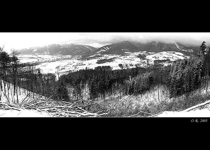 ***Panorama***