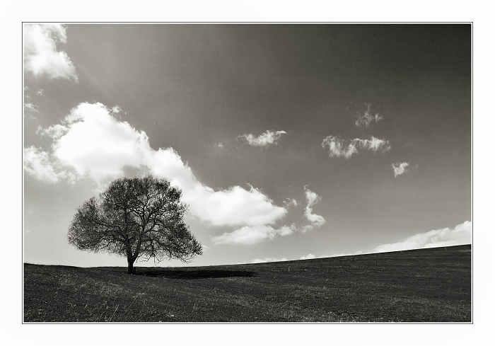 ALONE