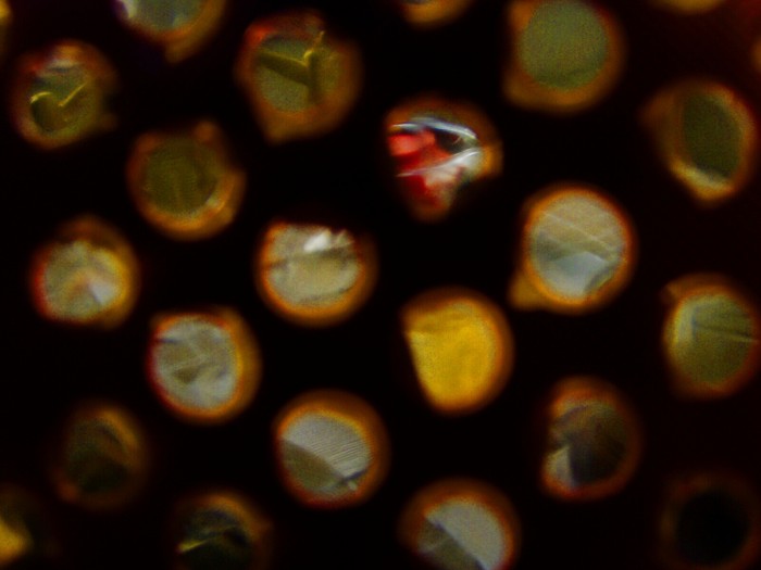 Fotomografie 9:07