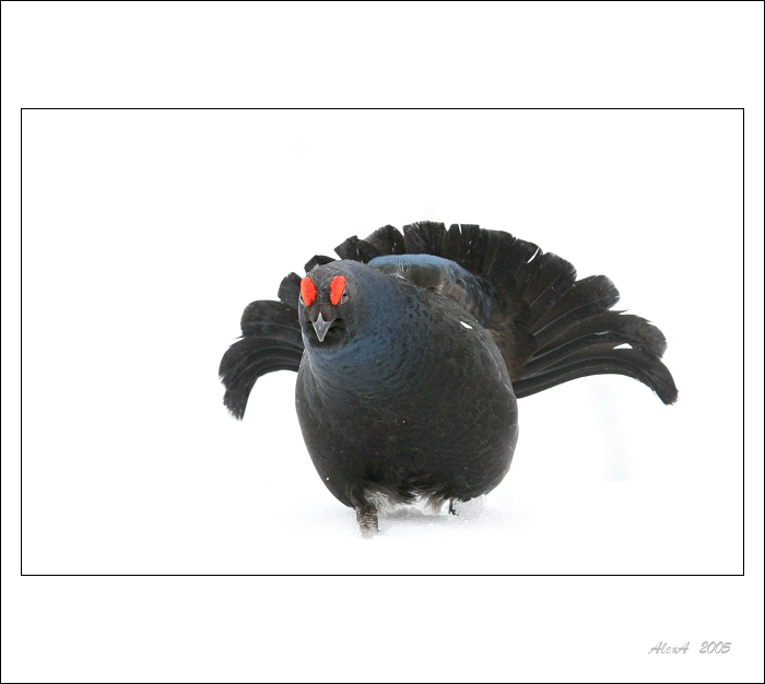 Jen si tak trochu toknout II.