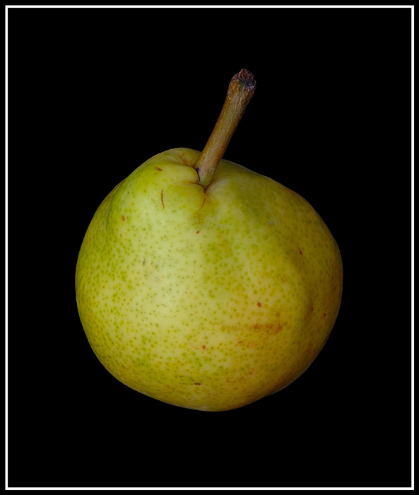 Hruška