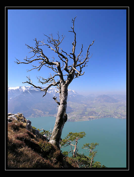 Traunstein