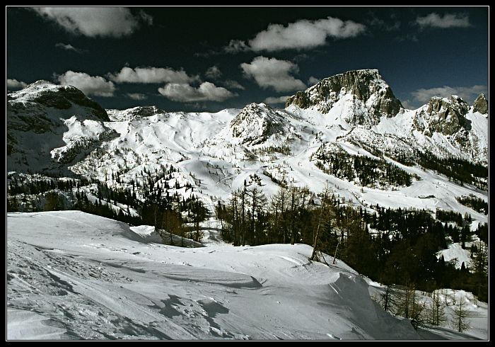 Korutany