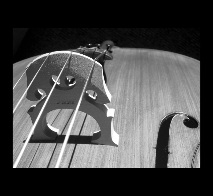 .::Violoncello IV::.