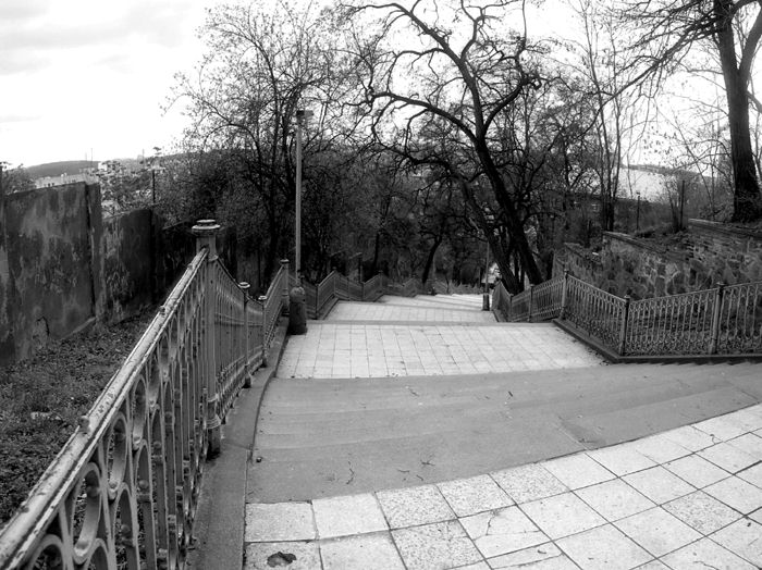 Zakřivení