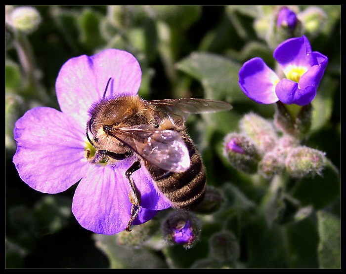 Nerušit - obědvám