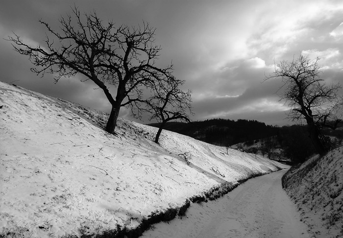 blíží se vánice...