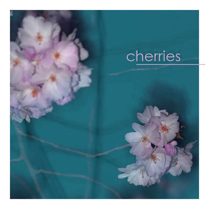 cherries